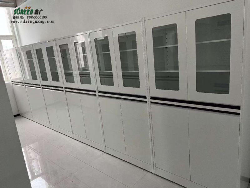 濟南實驗臺廠家 全鋼器皿柜 實驗室試劑柜可定制