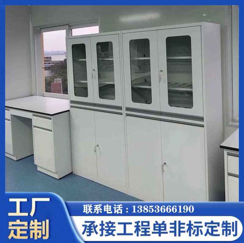 山東濱州實驗臺實驗室器皿柜試劑柜廠家定制